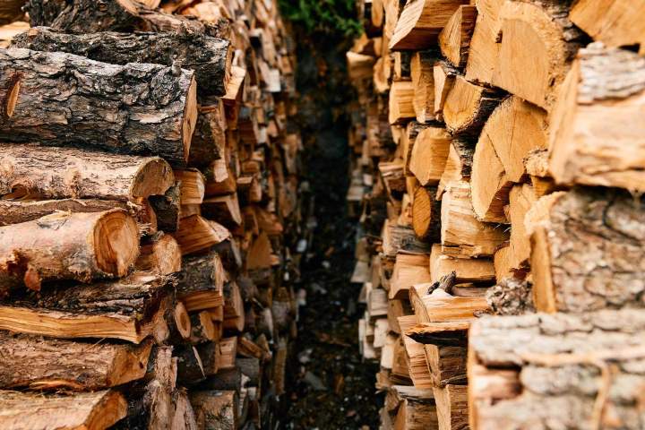 Exploitation forestière Rouvres