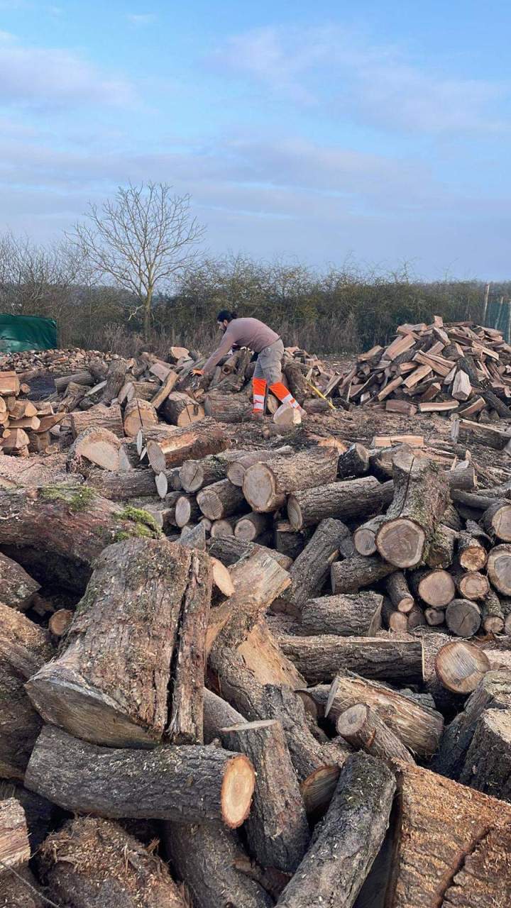 Production de bois Rouvres